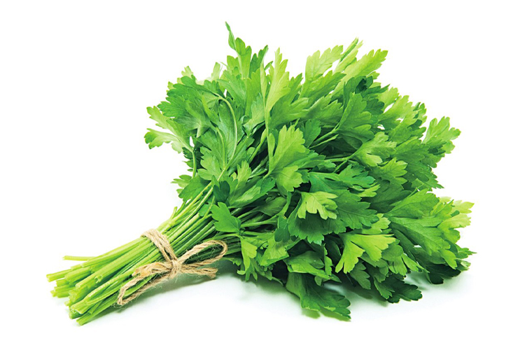 CORIANDER 100G +/-