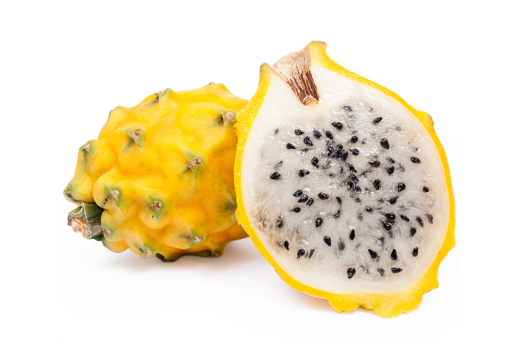 GOLDEN PITAHAYA 1PCS